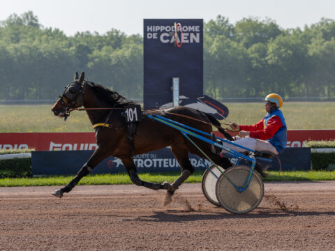 My Winner Rush